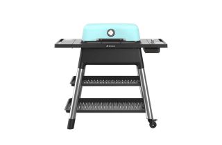 Everdure Force Powerful 2-Burner Gas Grill - Mint