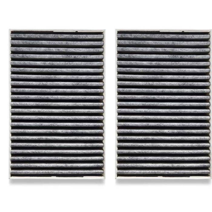 Charcoal Filter (DKF 31-P) main product photo