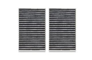 Charcoal Filter (DKF 31-P)