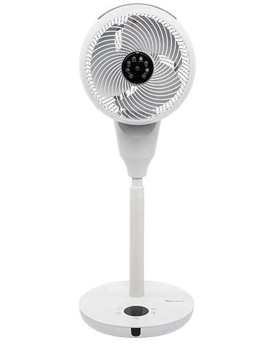 Fans