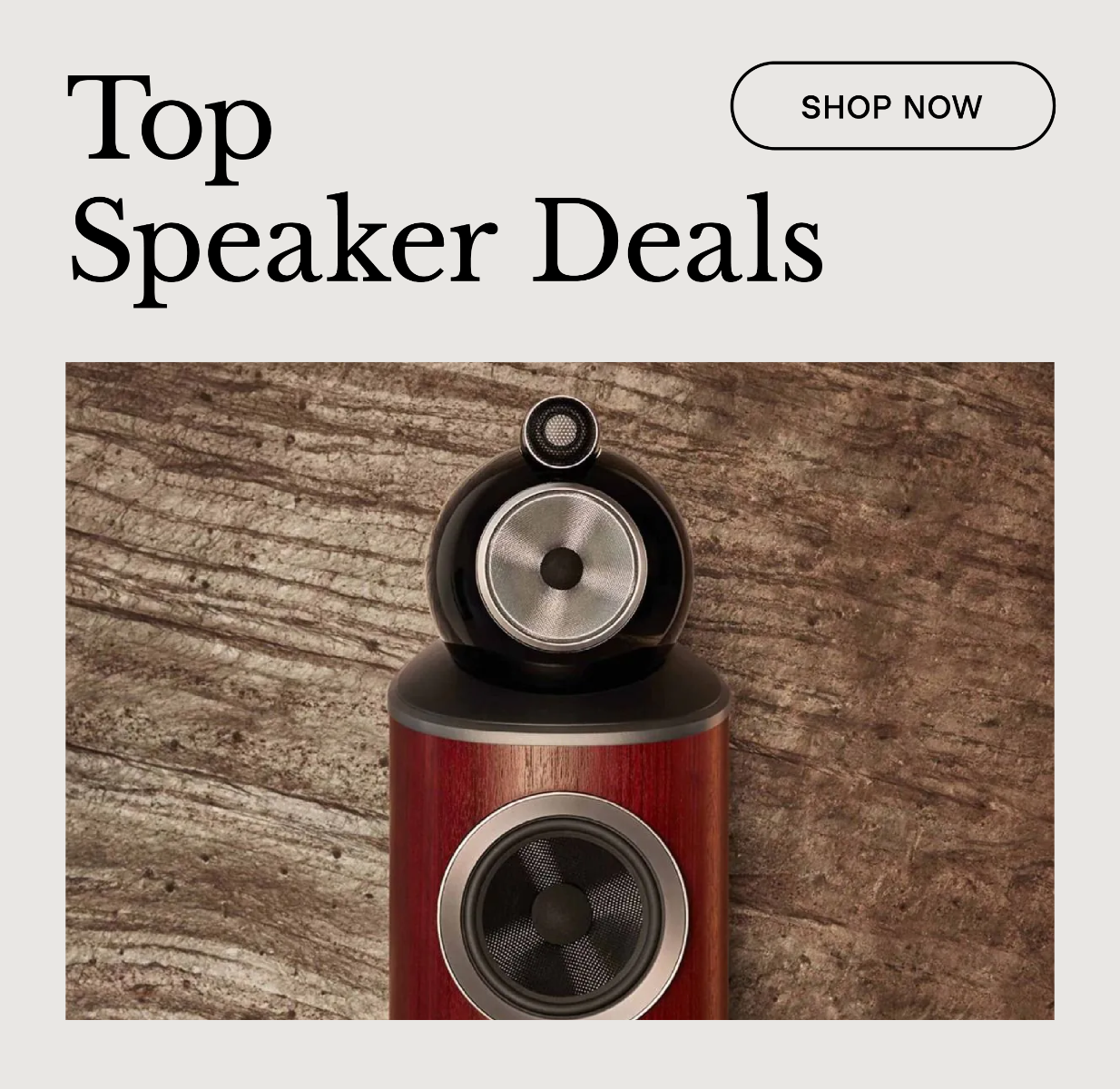 PT_BANNERS_PET0147_BANNER_DESIGNS_SPEAKERS