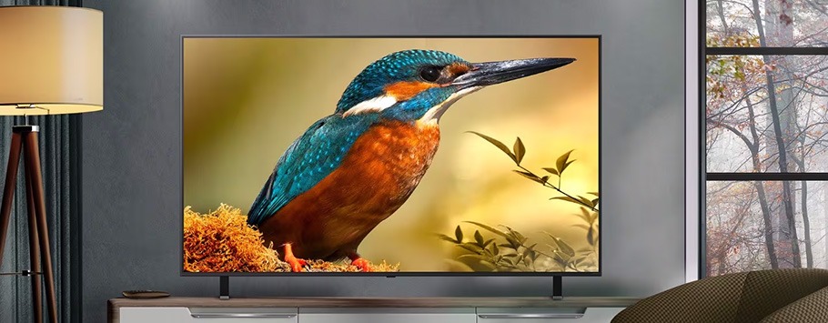 A vibrant kingfisher with blue and orange feathers displayed on a TV screen in a modern living room. The scene suggests serenity and nature indoors.