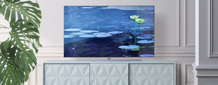 A sleek flat-screen TV on a geometric-patterned cabinet displays a serene pond scene with lily pads and a blooming flower. A large green plant is on the left.